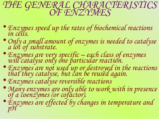 characteristics of enzymes