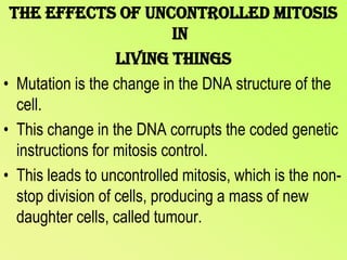 The effects of uncontrolled mitosis in living thingsMutation is the change in the DNA structure of the cell.This change in the DNA corrupts the coded genetic instructions for mitosis control.This leads to uncontrolled mitosis, which is the non-stop division of cells, producing a mass of new daughter cells, called tumour.