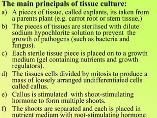 The main principals of tissue culture:A pieces of tissue, called explants, its taken from a parents plant (e.g. carrot root or stem tissue,)The pieces of tissues are sterilised with dilute sodium hypochlorite solution to prevent  the growth of pathogens (such as bacteria and fungus).Each sterile tissue piece is placed on to a growth medium (gel containing nutrients and growth regulators).The tissues cells divided by mitosis to produce a mass of loosely arranged undifferentiated cells called callus.Callus is stimulated  with shoot-stimulating hormone to form multiple shoots.The shoots are separated and each is placed in nutrient medium with root-stimulating hormone to encourage rootingOnce the roots grow, the plantlets (little plants) are planted in sterile compost to grow.
