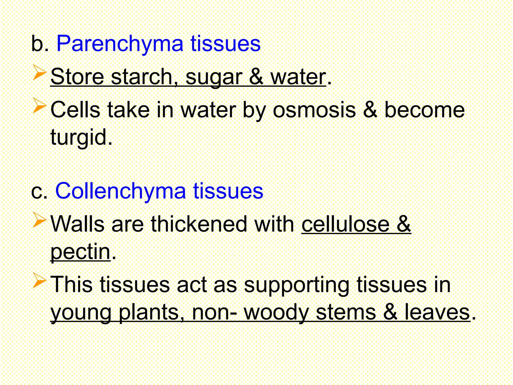 b. Parenchyma tissues
Store starch, sugar & water.
Cells take in water by osmosis & become
turgid.
c. Collenchyma tissues
Walls are thickened with cellulose &
pectin.
This tissues act as supporting tissues in
young plants, non- woody stems & leaves.
 