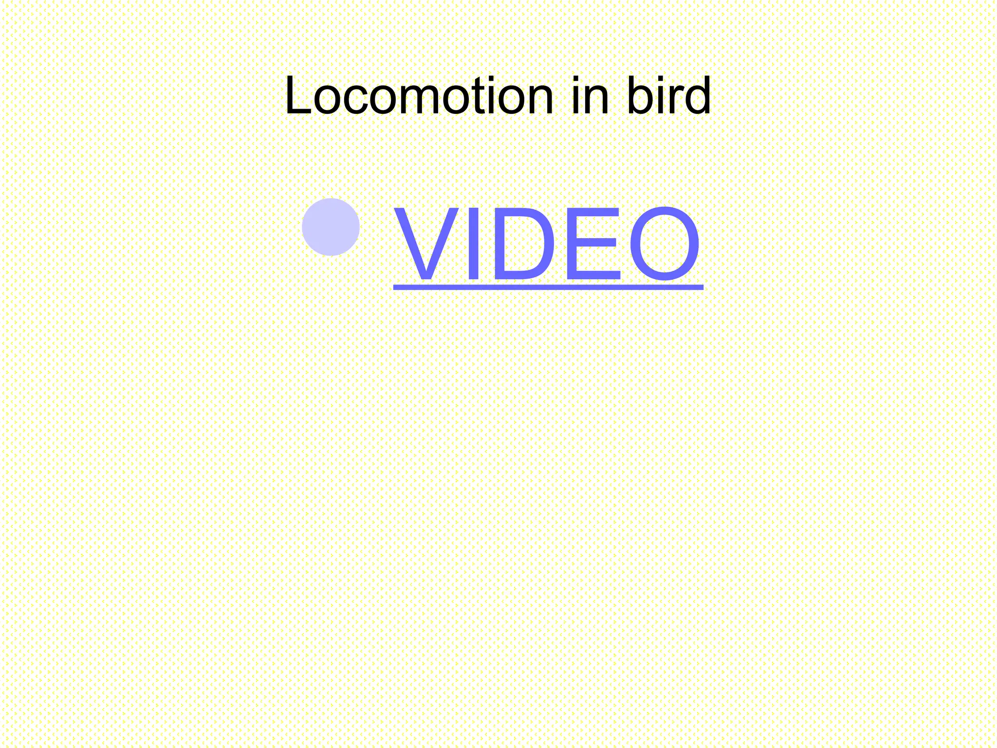 Locomotion in bird
VIDEO
 