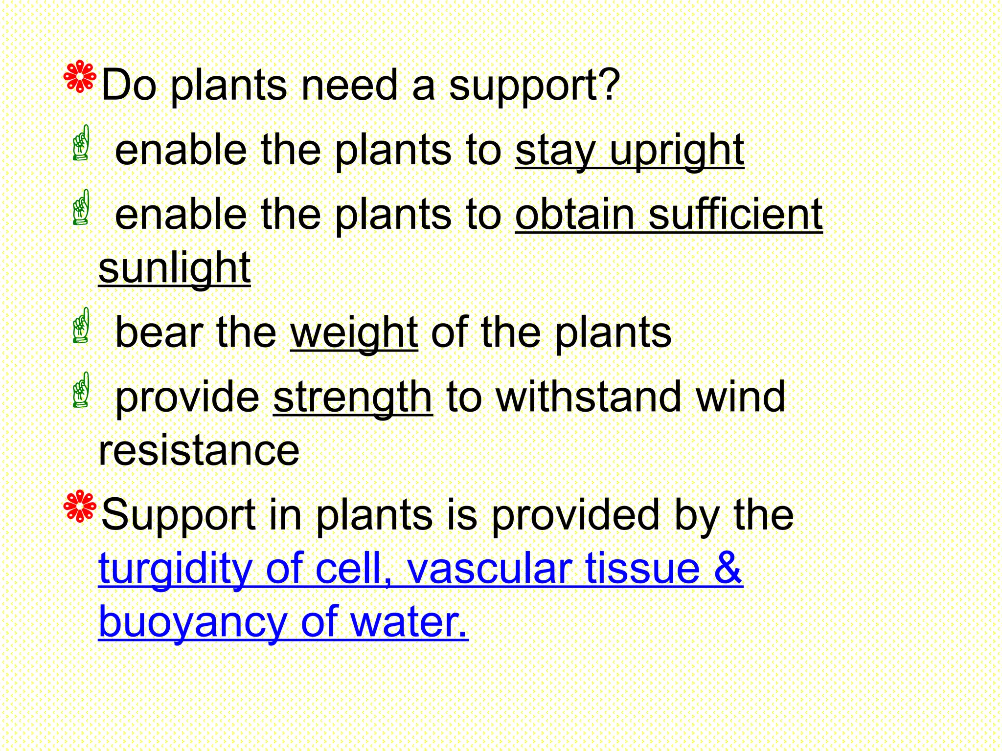 Do plants need a support?
 enable the plants to stay upright
 enable the plants to obtain sufficient
sunlight
 bear the weight of the plants
 provide strength to withstand wind
resistance
Support in plants is provided by the
turgidity of cell, vascular tissue &
buoyancy of water.
 