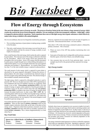 Biofactsheet flowofenergy