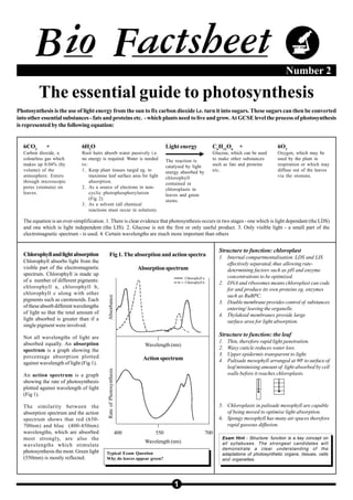 Biofactsheet photosynthesisguide