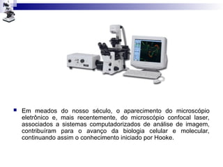  Em meados do nosso século, o aparecimento do microscópio
eletrônico e, mais recentemente, do microscópio confocal laser,
associados a sistemas computadorizados de análise de imagem,
contribuíram para o avanço da biologia celular e molecular,
continuando assim o conhecimento iniciado por Hooke.
 