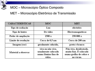 MOC – Microscópio Óptico Composto
MET – Microscópio Eletrônico de Transmissão
 
