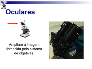 Oculares
Ampliam a imagem
fornecida pelo sistema
de objetivas.
 