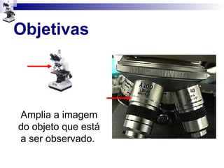 Objetivas
Amplia a imagem
do objeto que está
a ser observado.
 