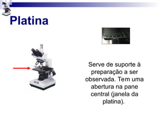 Platina
Serve de suporte à
preparação a ser
observada. Tem uma
abertura na pane
central (janela da
platina).
 