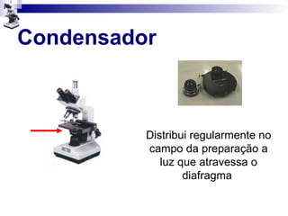 Condensador
Distribui regularmente no
campo da preparação a
luz que atravessa o
diafragma
 