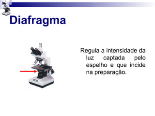 Diafragma
Regula a intensidade da
luz captada pelo
espelho e que incide
na preparação.
 