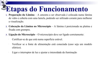 Etapas do Funcionamento
1. Preparação da Lâmina – A amostra a ser observada é colocada numa lâmina
de vidro e coberta com uma lamela, podendo ser utilizado corante para melhorar
a visualização.
2. Colocação da Lâmina no Microscópio – A lâmina é posicionada na platina e
fixada com grampos.
3. Ligação do Microscópio – O microscópio deve ser ligado corretamente:
o
Certificar-se de que está numa superfície estável.
o
Verificar se a fonte de alimentação está conectada (caso seja um modelo
elétrico).
o
Ligar o interruptor de luz e ajustar a intensidade da iluminação
 