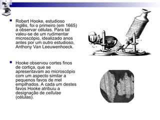  Robert Hooke, estudioso
inglês, foi o primeiro (em 1665)
a observar células. Para tal
valeu-se de um rudimentar
microscópio, idealizado anos
antes por um outro estudioso,
Anthony Van Leeuwenhoeck.
 Hooke observou cortes finos
de cortiça, que se
apresentavam ao microscópio
com um aspecto similar a
pequenos favos de mel
empilhados. A cada um destes
favos Hooke atribuiu a
designação de cellulae
(células).
 