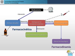 UNIVERSIDAD NACIONAL AUTÓNOMA DE MÉXICO
FACULTAD DE QUÍMICA
DR. JOSÉ LUIS BALDERAS LÓPEZ
Departamento de Farmacia
Universidad Autónoma de Chiapas
Químico Farmacobiólogo
Fármaco disuelto
Fármaco en la
circulación sistémica
Fármaco en tejidos
Biotransformación y excreción
Efecto farmacológico
Absorción Distribución
Eliminación
Liberación
Farmacocinética
Farmacodinamia
Medicamento
 
