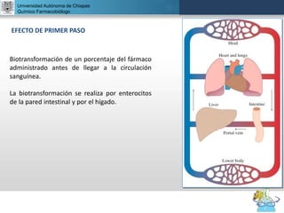 UNIVERSIDAD NACIONAL AUTÓNOMA DE MÉXICO
FACULTAD DE QUÍMICA
DR. JOSÉ LUIS BALDERAS LÓPEZ
Departamento de Farmacia
Universidad Autónoma de Chiapas
Químico Farmacobiólogo
EFECTO DE PRIMER PASO
Biotransformación de un porcentaje del fármaco
administrado antes de llegar a la circulación
sanguínea.
La biotransformación se realiza por enterocitos
de la pared intestinal y por el hígado.
 
