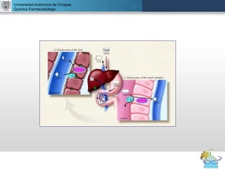 UNIVERSIDAD NACIONAL AUTÓNOMA DE MÉXICO
FACULTAD DE QUÍMICA
DR. JOSÉ LUIS BALDERAS LÓPEZ
Departamento de Farmacia
Universidad Autónoma de Chiapas
Químico Farmacobiólogo
 
