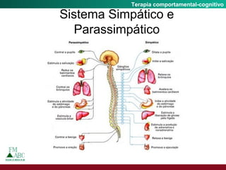 Fobia SocialTerapia comportamental-cognitivo
Sistema Simpático e
Parassimpático
 