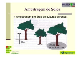 Amostragem de Solos
Amostragem em área de culturas perenes:
Campus Bambuí
 