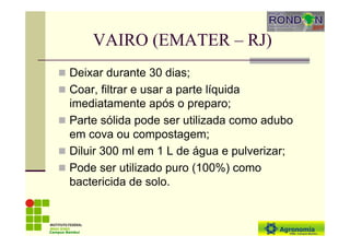 VAIRO (EMATER – RJ)
Deixar durante 30 dias;
Coar, filtrar e usar a parte líquida
imediatamente após o preparo;
Parte sólida pode ser utilizada como adubo
em cova ou compostagem;
Diluir 300 ml em 1 L de água e pulverizar;
Pode ser utilizado puro (100%) como
bactericida de solo.
Campus Bambuí
 