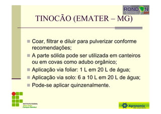 TINOCÃO (EMATER – MG)
Coar, filtrar e diluir para pulverizar conforme
recomendações;
A parte sólida pode ser utilizada em canteiros
ou em covas como adubo orgânico;
Aplicação via foliar: 1 L em 20 L de água;
Aplicação via solo: 6 a 10 L em 20 L de água;
Pode-se aplicar quinzenalmente.
Campus Bambuí
 