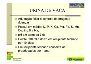 URINA DE VACA
Adubação foliar e controle de pragas e
doenças;
Possui em média: N, P, K, Ca, Mg, Fe, S, Mn,
Co, Zn, B e Na;
pH em torno de 7,6;
Colete 500 ml e deixe em recipiente fechado
por 10 dias;
Em recipiente fechado conserva as
propriedades por 1 ano.
Campus Bambuí
 