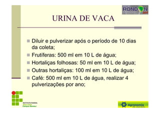 URINA DE VACA
Diluir e pulverizar após o período de 10 dias
da coleta;
Frutíferas: 500 ml em 10 L de água;
Hortaliças folhosas: 50 ml em 10 L de água;
Outras hortaliças: 100 ml em 10 L de água;
Café: 500 ml em 10 L de água, realizar 4
pulverizações por ano;
Campus Bambuí
 