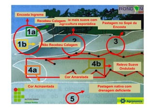 Campus BambuíCampus Bambuí
Encosta mais suave com
Agricultura esporádica Pastagem no Sopé da
Encosta
Relevo Suave
Ondulado
Pastagem nativa com
drenagem deficiente
Recebeu Calagem
Não Recebeu Calagem
Cor Acinzentada
Cor Amarelada
Encosta Ingreme
 