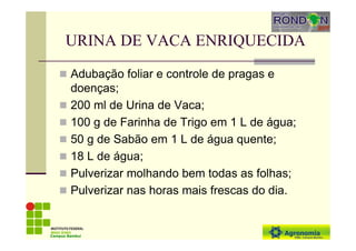 URINA DE VACA ENRIQUECIDA
Adubação foliar e controle de pragas e
doenças;
200 ml de Urina de Vaca;
100 g de Farinha de Trigo em 1 L de água;
50 g de Sabão em 1 L de água quente;
18 L de água;
Pulverizar molhando bem todas as folhas;
Pulverizar nas horas mais frescas do dia.
Campus Bambuí
 
