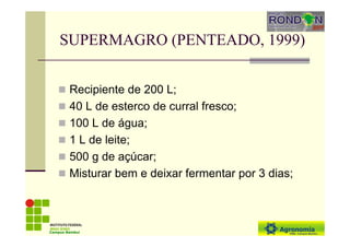 SUPERMAGRO (PENTEADO, 1999)
Recipiente de 200 L;
40 L de esterco de curral fresco;
100 L de água;
1 L de leite;
500 g de açúcar;
Misturar bem e deixar fermentar por 3 dias;
Campus Bambuí
 