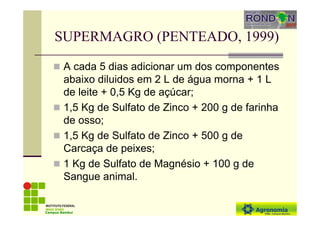 SUPERMAGRO (PENTEADO, 1999)
A cada 5 dias adicionar um dos componentes
abaixo diluidos em 2 L de água morna + 1 L
de leite + 0,5 Kg de açúcar;
1,5 Kg de Sulfato de Zinco + 200 g de farinha
de osso;
1,5 Kg de Sulfato de Zinco + 500 g de
Carcaça de peixes;
1 Kg de Sulfato de Magnésio + 100 g de
Sangue animal.
Campus Bambuí
 