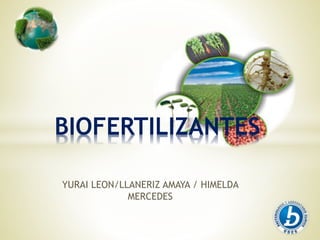 YURAI LEON/LLANERIZ AMAYA / HIMELDA
MERCEDES
BIOFERTILIZANTES
 