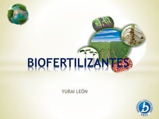 YURAI LEÓN
BIOFERTILIZANTES
 