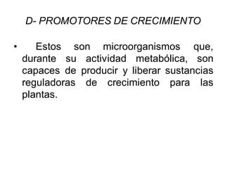 D- PROMOTORES DE CRECIMIENTO 
• Estos son microorganismos que, 
durante su actividad metabólica, son 
capaces de producir y liberar sustancias 
reguladoras de crecimiento para las 
plantas. 
 