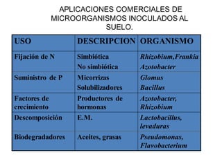 APLICACIONES COMERCIALES DE 
MICROORGANISMOS INOCULADOS AL 
SUELO. 
USO DESCRIPCION ORGANISMO 
Fijación de N Simbiótica 
No simbiótica 
Rhizobium,Frankia 
Azotobacter 
Suministro de P Micorrizas 
Solubilizadores 
Glomus 
Bacillus 
Factores de 
crecimiento 
Productores de 
hormonas 
Azotobacter, 
Rhizobium 
Descomposición E.M. Lactobacillus, 
levaduras 
Biodegradadores Aceites, grasas Pseudomonas, 
Flavobacterium 
 
