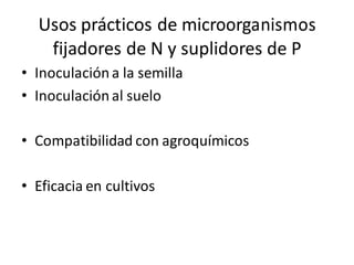 Usos prácticos de microorganismos 
fijadores de N y suplidores de P 
• Inoculación a la semilla 
• Inoculación al suelo 
• Compatibilidad con agroquímicos 
• Eficacia en cultivos 
 