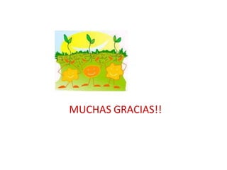 MUCHAS GRACIAS!! 

