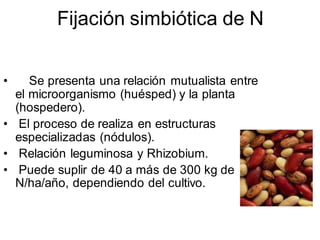 Fijación simbiótica de N 
• Se presenta una relación mutualista entre 
el microorganismo (huésped) y la planta 
(hospedero). 
• El proceso de realiza en estructuras 
especializadas (nódulos). 
• Relación leguminosa y Rhizobium. 
• Puede suplir de 40 a más de 300 kg de 
N/ha/año, dependiendo del cultivo. 
 