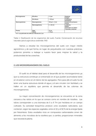 Tabla 1: Clasificación de los organismos del suelo. Fuente: Conservación de recursos
naturales para la agricultura sostenible. FAO
Vamos a estudiar los microorganismos del suelo con mayor interés
agronómico y de qué forma, en lugar de perjudicarlos con nuestras prácticas,
podemos ponerlos a trabajar a nuestro favor para mejorar la salud y la
productividad de las cosechas.
2. LOS MICROORGANISMOS DEL SUELO
El suelo es el hábitat ideal para el desarrollo de los microorganismos ya
que su estructura constituye un entramado en el que pueden acomodarse tanto
en el exterior como en el interior de los agregados. Pero para ello el suelo ha de
tener una buena estructura donde el agua y el aire circulen con facilidad y se
hallen en un equilibrio que permita el desarrollo de las colonias de
microorganismos.
La mayor concentración de microorganismos se encuentra en la zona
cercana a las raíces en lo que se conoce como en nombre de rizosfera. Las
raíces corresponden a una biomasa de 5 a 6 Tm por hectárea en un campo
cultivado. Su actividad bioquímica produce unos exudados radiculares, que
contienen, según las especies vegetales, entre el 10 y el 50 % de la energía fijada
por fotosíntesis. Estos exudados ricos en compuestos carbonatados sirven de
alimento a los microbios de la rizosfera que, a cambio, proporcionan minerales
que necesita la planta.
6
 
