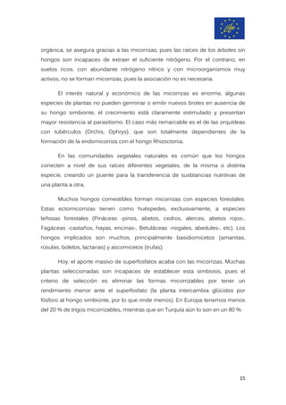 orgánica, se asegura gracias a las micorrizas, pues las raíces de los árboles sin
hongos son incapaces de extraer el suficiente nitrógeno. Por el contrario, en
suelos ricos, con abundante nitrógeno nítrico y con microorganismos muy
activos, no se forman micorrizas, pues la asociación no es necesaria.
El interés natural y económico de las micorrizas es enorme, algunas
especies de plantas no pueden germinar o emitir nuevos brotes en ausencia de
su hongo simbionte, el crecimiento está claramente estimulado y presentan
mayor resistencia al parasitismo. El caso más remarcable es el de las orquídeas
con tubérculos (Orchis, Ophrys), que son totalmente dependientes de la
formación de la endomicorriza con el hongo Rhizoctonia.
En las comunidades vegetales naturales es común que los hongos
conecten a nivel de sus raíces diferentes vegetales, de la misma o distinta
especie, creando un puente para la transferencia de susbtancias nutritivas de
una planta a otra.
Muchos hongos comestibles forman micorrizas con especies forestales.
Estas ectomicorrizas tienen como huéspedes, exclusivamente, a especies
leñosas forestales (Pináceas -pinos, abetos, cedros, alerces, abetos rojos-,
Fagáceas -castaños, hayas, encinas-, Betuláceas -nogales, abedules-, etc). Los
hongos implicados son muchos, principalmente basidiomicetos (amanitas,
rúsulas, boletos, lactarias) y ascomicetos (trufas).
Hoy, el aporte masivo de superfosfatos acaba con las micorrizas. Muchas
plantas seleccionadas son incapaces de establecer esta simbiosis, pues el
criterio de selección es eliminar las formas micorrizables por tener un
rendimiento menor ante el superfosfato (la planta intercambia glúcidos por
fósforo al hongo simbionte, por lo que rinde menos). En Europa tenemos menos
del 20 % de trigos micorrizables, mientras que en Turquía aún lo son en un 80 %.
15
 