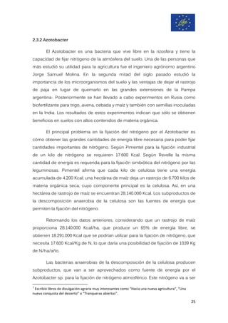 2.3.2 Azotobacter
El Azotobacter es una bacteria que vive libre en la rizosfera y tiene la
capacidad de fijar nitrógeno de la atmósfera del suelo. Una de las personas que
más estudió su utilidad para la agricultura fue el ingeniero agrónomo argentino
Jorge Samuel Molina. En la segunda mitad del siglo pasado estudió la
importancia de los microorganismos del suelo y las ventajas de dejar el rastrojo
de paja en lugar de quemarlo en las grandes extensiones de la Pampa
argentina1
. Posteriormente se han llevado a cabo experimentos en Rusia como
biofertilizante para trigo, avena, cebada y maíz y también con semillas inoculadas
en la India. Los resultados de estos experimentos indican que sólo se obtienen
beneficios en suelos con altos contenidos de materia orgánica.
El principal problema en la fijación del nitrógeno por el Azotobacter es
cómo obtener las grandes cantidades de energía libre necesaria para poder fijar
cantidades importantes de nitrógeno. Según Pimentel para la fijación industrial
de un kilo de nitrógeno se requieren 17.600 Kcal. Según Revelle la misma
cantidad de energía es requerida para la fijación simbiótica del nitrógeno por las
leguminosas. Pimentel afirma que cada kilo de celulosa tiene una energía
acumulada de 4.200 Kcal; una hectárea de maíz deja un rastrojo de 6.700 kilos de
materia orgánica seca, cuyo componente principal es la celulosa. Así, en una
hectárea de rastrojo de maíz se encuentran 28.140.000 Kcal. Los subproductos de
la descomposición anaerobia de la celulosa son las fuentes de energía que
permiten la fijación del nitrógeno.
Retomando los datos anteriores, considerando que un rastrojo de maíz
proporciona 28.140.000 Kcal/ha, que produce un 65% de energía libre, se
obtienen 18.291.000 Kcal que se podrían utilizar para la fijación de nitrógeno, que
necesita 17.600 Kcal/Kg de N, lo que daría una posibilidad de fijación de 1039 Kg
de N/ha/año.
Las bacterias anaerobias de la descomposición de la celulosa producen
subproductos, que van a ser aprovechados como fuente de energía por el
Azotobacter sp. para la fijación de nitrógeno atmosférico. Este nitrógeno va a ser
1
Escribió libros de divulgación agraria muy interesantes como “Hacia una nueva agricultura”, “Una
nueva conquista del desierto” o “Tranqueras abiertas”.
25
 