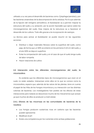 utilizado a su vez para el desarrollo de bacterias como Cytophaga (aerobia) y por
las bacterias anaerobias de la descomposición de la celulosa. Por lo que además
de la fijación del nitrógeno atmosférico, el Azotobacter va a permitir mejorar la
estructura del suelo y su aireación, por la acción favorable que ejerce sobre los
microorganismos del suelo. Esta mejora de la estructura va a favorecer el
desarrollo de los cultivos. Todo ello gracias a la incorporación de rastrojos.
La técnica para activar al Azotobacter se puede resumir en las siguientes
acciones:
• Distribuir o dejar materiales fibrosos sobre la superficie del suelo, como
paja, de forma que un 50% se entierre en los primeros 5-10 cm del suelo, y
el otro 50% se deja en superficie.
• Evitar la compactación del suelo y en el caso de que el suelo tenga suela
de labor romperla.
• Hacer rotaciones de cultivo.
2.4 Interacción entre los diferentes microorganismos del suelo: la
micorizosfera
Es evidente que los diferentes tipos de microorganismos que viven en el
suelo no están aislados. Interactúan entre ellos en lo que se conoce como la
micorizosfera, espacio que, además de las raíces de las plantas, tiene en cuenta
el papel de las hifas de los hongos micorrízicos y su interacción con las distintas
colonias de bacterias. Los investigadores han podido ver los efectos de estas
interacciones pero todavía se desconoce mucho de los mecanismos que actúan
ya que muchos de ellos se producen a nivel celular.
2.4.1. Efectos de las micorrizas en las comunidades de bacterias de la
rizosfera:
• Los hongos producen sustancias ricas en carbono que las bacterias
pueden aprovechar.
• Modifican el pH
• Existe una competencia por los nutrientes entre ambas poblaciones
26
 