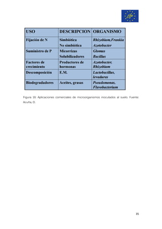 Figura 16: Aplicaciones comerciales de microorganismos inoculados al suelo. Fuente:
Acuña, O.
35
 
