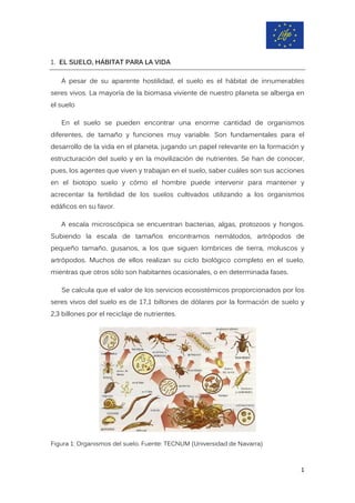 1. EL SUELO, HÁBITAT PARA LA VIDA
A pesar de su aparente hostilidad, el suelo es el hábitat de innumerables
seres vivos. La mayoría de la biomasa viviente de nuestro planeta se alberga en
el suelo
En el suelo se pueden encontrar una enorme cantidad de organismos
diferentes, de tamaño y funciones muy variable. Son fundamentales para el
desarrollo de la vida en el planeta, jugando un papel relevante en la formación y
estructuración del suelo y en la movilización de nutrientes. Se han de conocer,
pues, los agentes que viven y trabajan en el suelo, saber cuáles son sus acciones
en el biotopo suelo y cómo el hombre puede intervenir para mantener y
acrecentar la fertilidad de los suelos cultivados utilizando a los organismos
edáficos en su favor.
A escala microscópica se encuentran bacterias, algas, protozoos y hongos.
Subiendo la escala de tamaños encontramos nemátodos, artrópodos de
pequeño tamaño, gusanos, a los que siguen lombrices de tierra, moluscos y
artrópodos. Muchos de ellos realizan su ciclo biológico completo en el suelo,
mientras que otros sólo son habitantes ocasionales, o en determinada fases.
Se calcula que el valor de los servicios ecosistémicos proporcionados por los
seres vivos del suelo es de 17,1 billones de dólares por la formación de suelo y
2,3 billones por el reciclaje de nutrientes.
Figura 1: Organismos del suelo. Fuente: TECNUM (Universidad de Navarra)
1
 