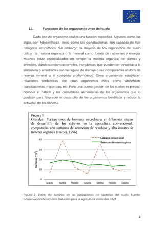 1.1. Funciones de los organismos vivos del suelo
Cada tipo de organismo realiza una función específica. Algunos, como las
algas, son fotosintéticas, otros, como las cianobacterias, son capaces de fijar
nitrógeno atmosférico. Sin embargo, la mayoría de los organismos del suelo
utilizan la materia orgánica o la mineral como fuente de nutrientes y energía.
Muchos están especializados en romper la materia orgánica de plantas y
animales, dando substancias simples, inorgánicas, que pueden ser devueltas a la
atmósfera o arrastradas con las aguas de drenaje o ser incorporadas al stock de
reserva mineral o al complejo arcillo-húmico. Otros organismos establecen
relaciones simbióticas con otros organismos vivos, como Rhizobium,
cianobacterias, micorrizas, etc. Para una buena gestión de los suelos es preciso
conocer el hábitat y las costumbres alimentarias de los organismos que lo
pueblan para favorecer el desarrollo de los organismos benéficos y reducir la
actividad de los dañinos.
Figura 2: Efecto del laboreo en las poblaciones de bacterias del suelo. Fuente:
Conservación de recursos naturales para la agricultura sostenible. FAO
2
 