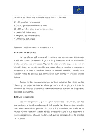 BIOMASA MEDIA DE UN SUELO BIOLÓGICAMENTE ACTIVO
10 a 20 gr/m2 de protozoarios
100 a 200 gr/m2 de lombrices de tierra
50 a 100 gr/m2 de otros organismos animales
> 1000 gr/m2 de bacterias
> 300 gr/m2 de actinomicetos
> 1000 gr/m2 de hongos
Podemos clasificarlos en dos grandes grupos:
1.2.1. Macroorganismos
La macrofauna del suelo está constituída por los animales visibles del
suelo, los cuales pertenecen a grupos muy diferentes entre sí: mamíferos,
anélidos, moluscos y artrópodos. Algunos de estos animales capaces de vivir en
el suelo tienen un tamaño considerable, como algunos mamíferos insectívoros
adaptados a la vida subterránea (topos) y roedores (ratones). Ambos tipos
fabrican redes de galerías que permiten un buen drenaje y aireación de los
suelos.
Dentro de los macroorganismos también incluímos las raíces de las
plantas y su papel también es clave ya que son el refugio y la fuente de
alimentos de muchos organismos como veremos más adelante en el apartado
dedicado a la rizosfera.
1.2.2 Microorganismos
Los microorganismos, por su gran versatilidad bioquímica, son los
intermediarios entre el mundo mineral y el mundo vivo. Con sus innumerables
reacciones metabólicas permiten incorporar los materiales del suelo en el
mundo viviente y están en la base de toda productividad, por lo que debe darse a
los microorganismos el papel fundamental que les corresponde en la fertilidad
de los suelos.
5
 