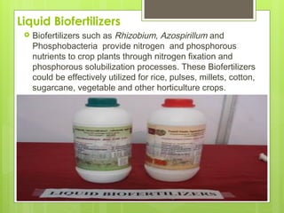 Biofertilization in Agri production.pptx