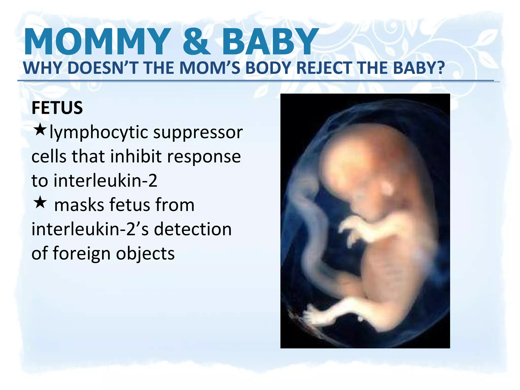 MOMMY & BABY  WHY DOESN’T THE MOM’S BODY REJECT THE BABY? FETUS lymphocytic suppressor cells that inhibit response to interleukin-2 masks fetus from interleukin-2’s detection of foreign objects 
