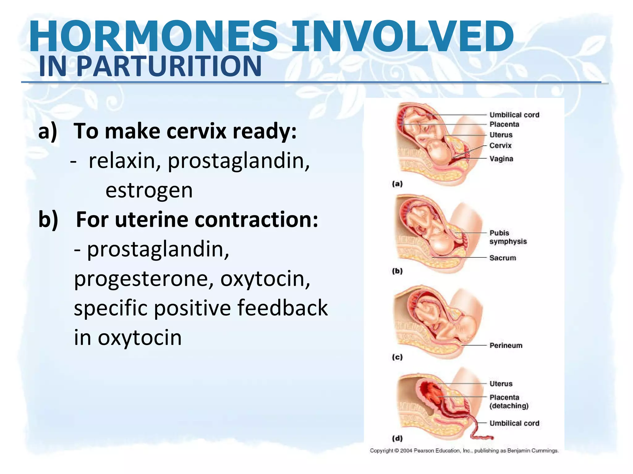HORMONES INVOLVED IN PARTURITION To make cervix ready:  -  relaxin, prostaglandin, estrogen b)  For uterine contraction:  - prostaglandin, progesterone, oxytocin, specific positive feedback in oxytocin 