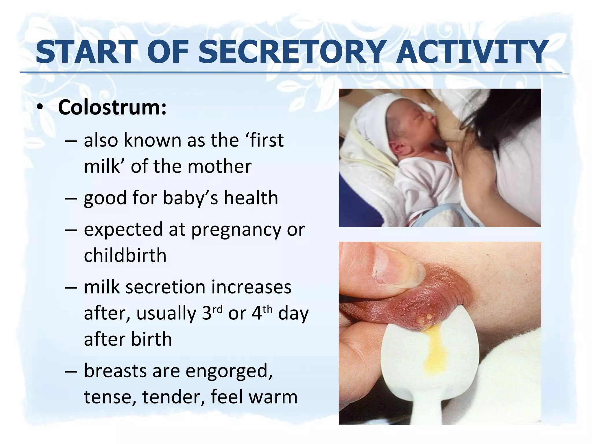 Colostrum:  also known as the ‘first milk’ of the mother good for baby’s health expected at pregnancy or childbirth milk secretion increases after, usually 3 rd  or 4 th  day after birth  breasts are engorged, tense, tender, feel warm START OF SECRETORY ACTIVITY 
