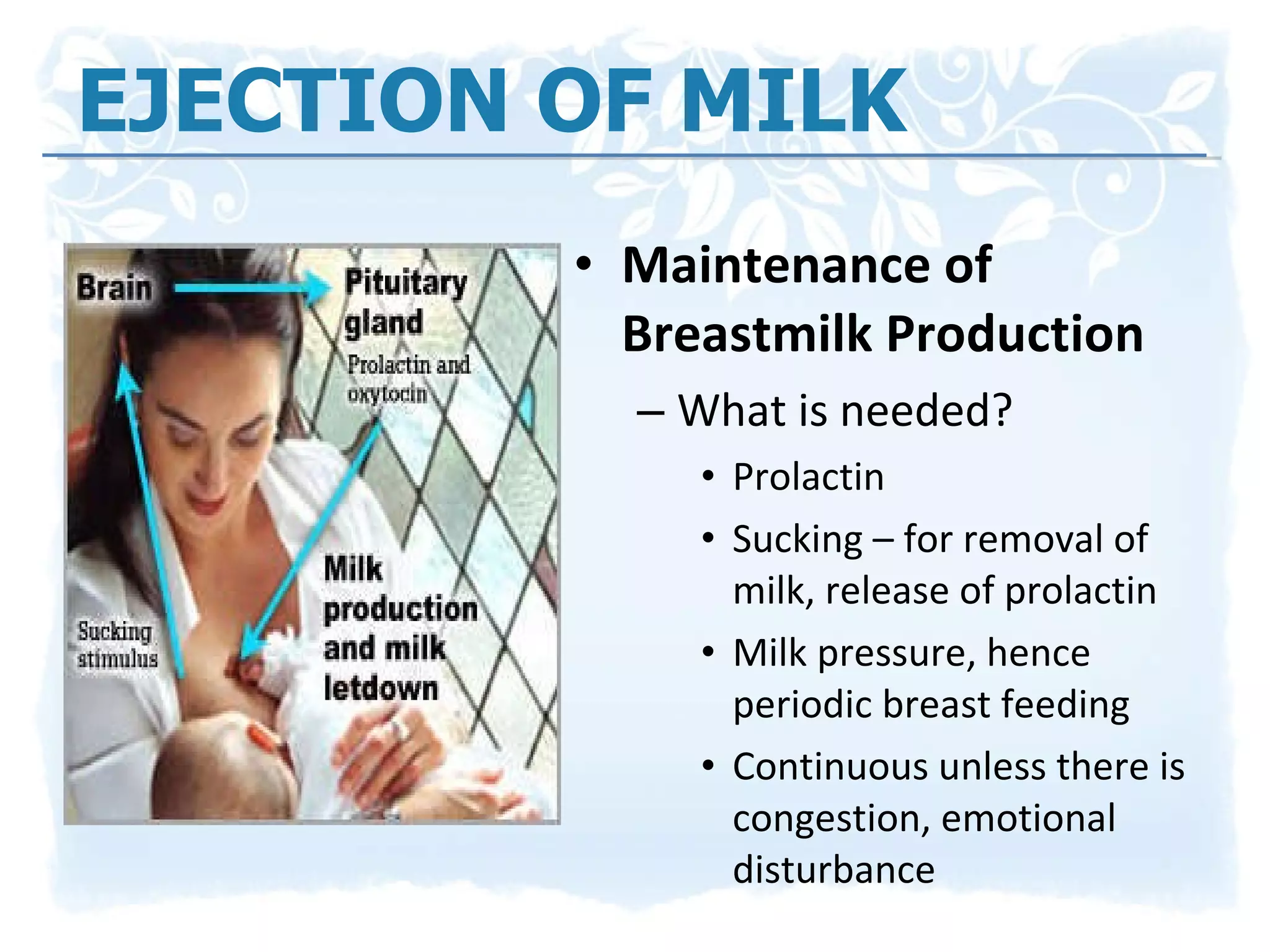 EJECTION OF MILK Maintenance of Breastmilk Production What is needed? Prolactin Sucking – for removal of milk, release of prolactin Milk pressure, hence periodic breast feeding Continuous unless there is congestion, emotional disturbance 
